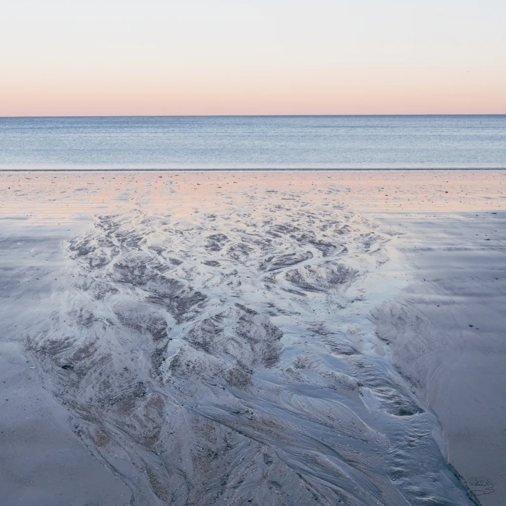 Cover Image for Prints